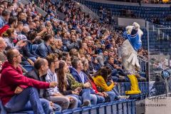 HC Slovan Bratislava - Sibir Novosibirsk HC Slovan Bratislava - Sibir Novosibirsk