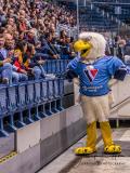 HC Slovan Bratislava - Sibir Novosibirsk HC Slovan Bratislava - Sibir Novosibirsk