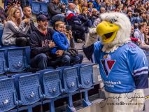 HC Slovan Bratislava - Sibir Novosibirsk HC Slovan Bratislava - Sibir Novosibirsk
