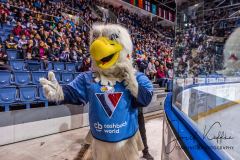 HC Slovan Bratislava - Sibir Novosibirsk HC Slovan Bratislava - Sibir Novosibirsk