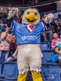 HC Slovan Bratislava - Sibir Novosibirsk HC Slovan Bratislava - Sibir Novosibirsk