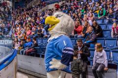 HC Slovan Bratislava - Sibir Novosibirsk HC Slovan Bratislava - Sibir Novosibirsk