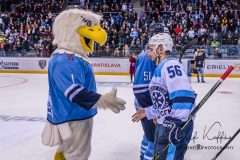 HC Slovan Bratislava - Sibir Novosibirsk HC Slovan Bratislava - Sibir Novosibirsk