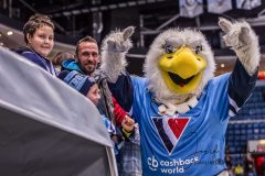 HC Slovan Bratislava - Torpedo Nizhny Novgorod HC Slovan Bratislava - Torpedo Nizhny Novgorod