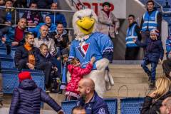 HC Slovan Bratislava - Torpedo Nizhny Novgorod HC Slovan Bratislava - Torpedo Nizhny Novgorod