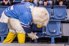 HC Slovan Bratislava - Torpedo Nizhny Novgorod HC Slovan Bratislava - Torpedo Nizhny Novgorod
