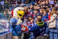 HC Slovan Bratislava - Torpedo Nizhny Novgorod HC Slovan Bratislava - Torpedo Nizhny Novgorod