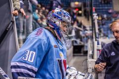 HC Slovan Bratislava - Torpedo Nizhny Novgorod HC Slovan Bratislava - Torpedo Nizhny Novgorod