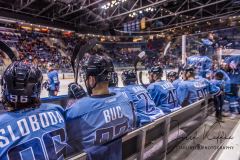 HC Slovan Bratislava - Torpedo Nizhny Novgorod HC Slovan Bratislava - Torpedo Nizhny Novgorod