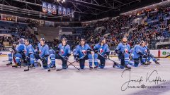 HC Slovan Bratislava - Torpedo Nizhny Novgorod HC Slovan Bratislava - Torpedo Nizhny Novgorod