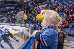 HC Slovan Bratislava - Traktor Chelyabinsk HC Slovan Bratislava - Traktor Chelyabinsk