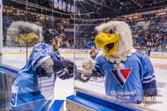 HC Slovan Bratislava - Vityaz Moscow Region HC Slovan Bratislava - Vityaz Moscow Region