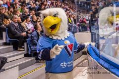 HC Slovan Bratislava - Vityaz Moscow Region HC Slovan Bratislava - Vityaz Moscow Region