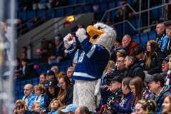 HC Slovan Bratislava - Vlci Žilina HC Slovan Bratislava - Vlci Žilina