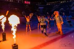 HC Slovan Bratislava - Vlci Žilina HC Slovan Bratislava - Vlci Žilina