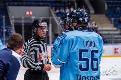 HC Slovan Bratislava - Vlci Žilina HC Slovan Bratislava - Vlci Žilina