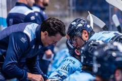 HC Slovan Bratislava - Vlci Žilina HC Slovan Bratislava - Vlci Žilina