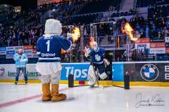 HC Slovan Bratislava - Vlci Žilina HC Slovan Bratislava - Vlci Žilina