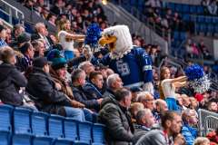 HC Slovan Bratislava - Vlci Žilina HC Slovan Bratislava - Vlci Žilina