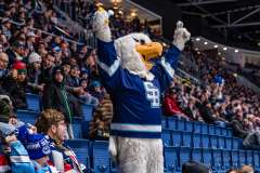 HC Slovan Bratislava - Vlci Žilina HC Slovan Bratislava - Vlci Žilina