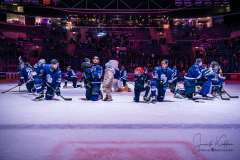 HC Slovan Bratislava - Vlci Žilina HC Slovan Bratislava - Vlci Žilina