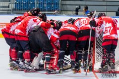 2017 IIHF Inline Hockey World Championship 2017 IIHF Inline Hockey World Championship