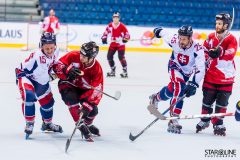 2017 IIHF Inline Hockey World Championship 2017 IIHF Inline Hockey World Championship