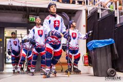 2017 IIHF Inline Hockey World Championship 2017 IIHF Inline Hockey World Championship