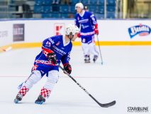 2017 IIHF Inline Hockey World Championship 2017 IIHF Inline Hockey World Championship