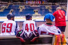 2017 IIHF Inline Hockey World Championship 2017 IIHF Inline Hockey World Championship