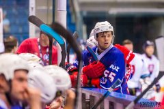 2017 IIHF Inline Hockey World Championship 2017 IIHF Inline Hockey World Championship