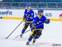 2017 IIHF Inline Hockey World Championship 2017 IIHF Inline Hockey World Championship