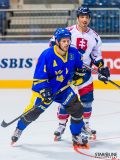 2017 IIHF Inline Hockey World Championship 2017 IIHF Inline Hockey World Championship