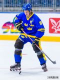 2017 IIHF Inline Hockey World Championship 2017 IIHF Inline Hockey World Championship