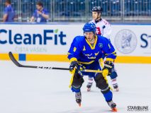 2017 IIHF Inline Hockey World Championship 2017 IIHF Inline Hockey World Championship