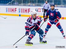 2017 IIHF Inline Hockey World Championship 2017 IIHF Inline Hockey World Championship