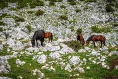 Makarska Makarska