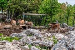Makarska Makarska