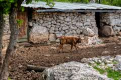 Makarska Makarska