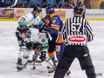 Orange 20 - HC Nové Zámky Orange 20 - HC Nové Zámky