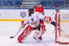 Paneuropa Kings - Masaryk University Paneuropa Kings - Masaryk University