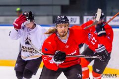 Paneuropa Kings - Masaryk University Paneuropa Kings - Masaryk University