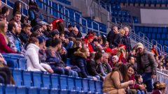 Paneuropa Kings - Masaryk University Paneuropa Kings - Masaryk University