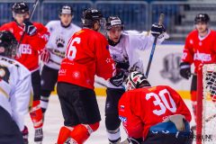Paneuropa Kings - Masaryk University Paneuropa Kings - Masaryk University