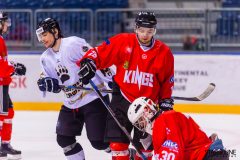 Paneuropa Kings - Masaryk University Paneuropa Kings - Masaryk University