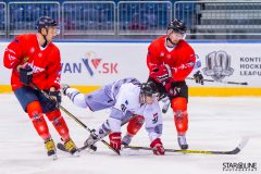 Paneuropa Kings - UMB Banská Bystrica Paneuropa Kings - UMB Banská Bystrica
