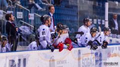 Paneuropa Kings - UMB Banská Bystrica Paneuropa Kings - UMB Banská Bystrica