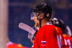 Paneuropa Kings - UMB Banská Bystrica Paneuropa Kings - UMB Banská Bystrica