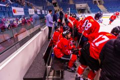 Paneuropa Kings - UMB Banská Bystrica Paneuropa Kings - UMB Banská Bystrica