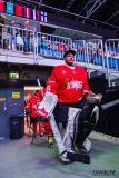 Paneuropa Kings - Akademici Plzeň Paneuropa Kings - Akademici Plzeň